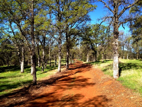 River Otter Loop