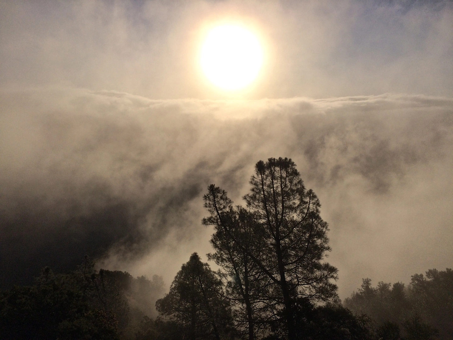 An image depicting the trail Mount Umunhum Trail Out and Back and its surrounding area.