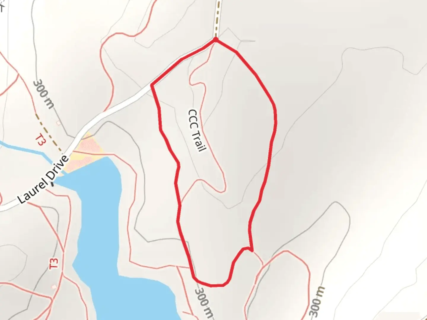 An image depicting the trail Ruggles Pond from Laurel Drive and its surrounding area.