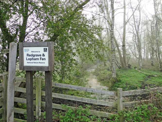 Redgrave and Lopham Fen Walk