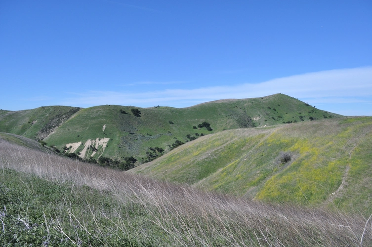 Modelo - Cheeseboro Canyon Loop Trail