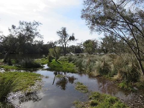 Banksia Hill Loop Trail