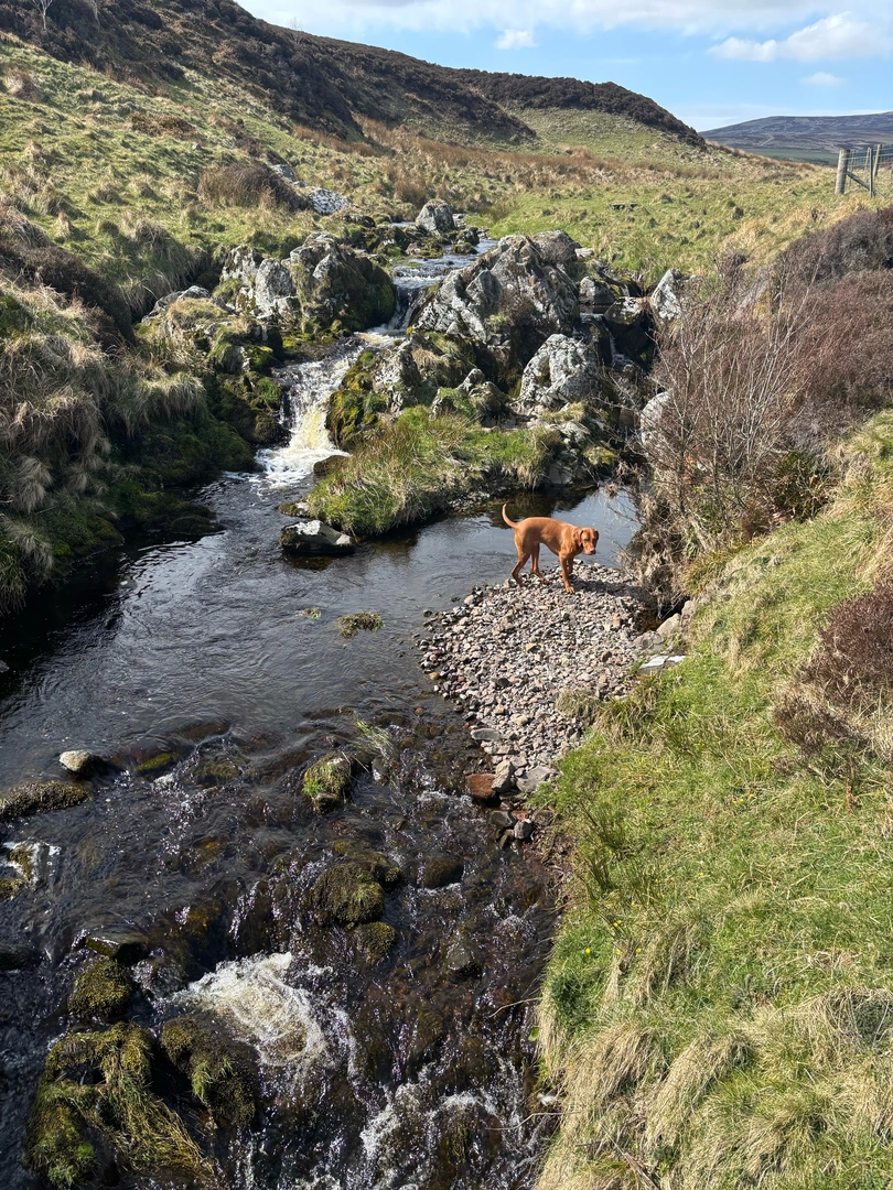 An image depicting the trail Wooler Common Loop and its surrounding area.