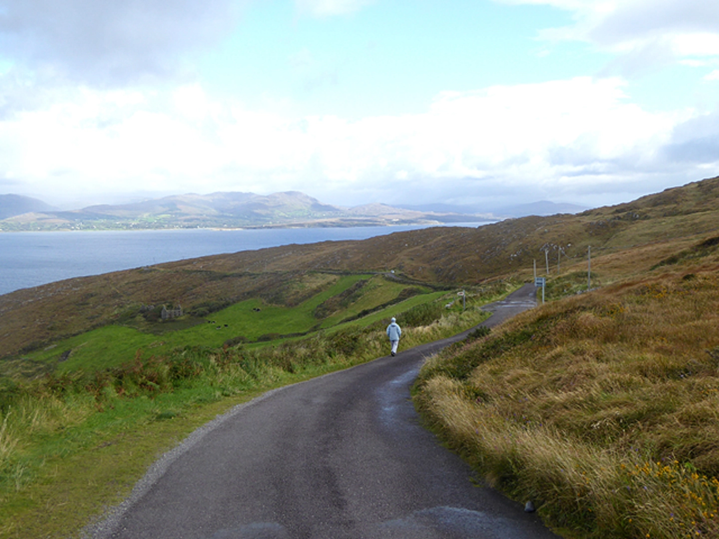 An image depicting the trail Gortnakilly Loop and its surrounding area.