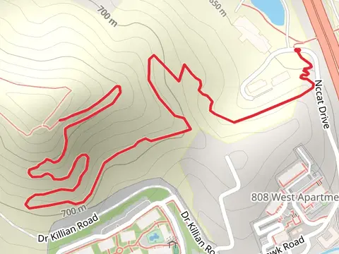 Cullowhee Connector Walk