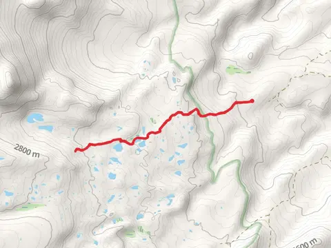 Trail 046