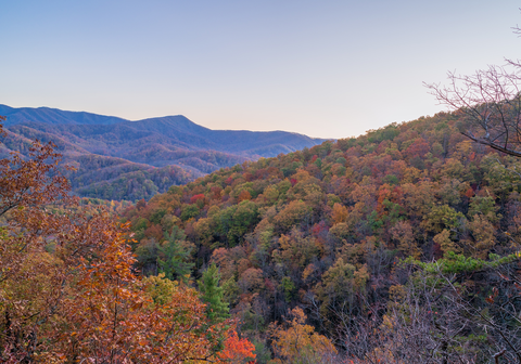 Sugarland Mountain Trail