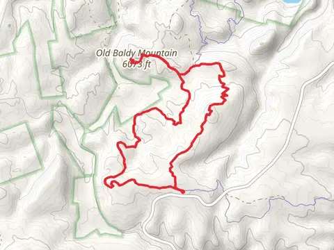 Old Baldy Loop Trail