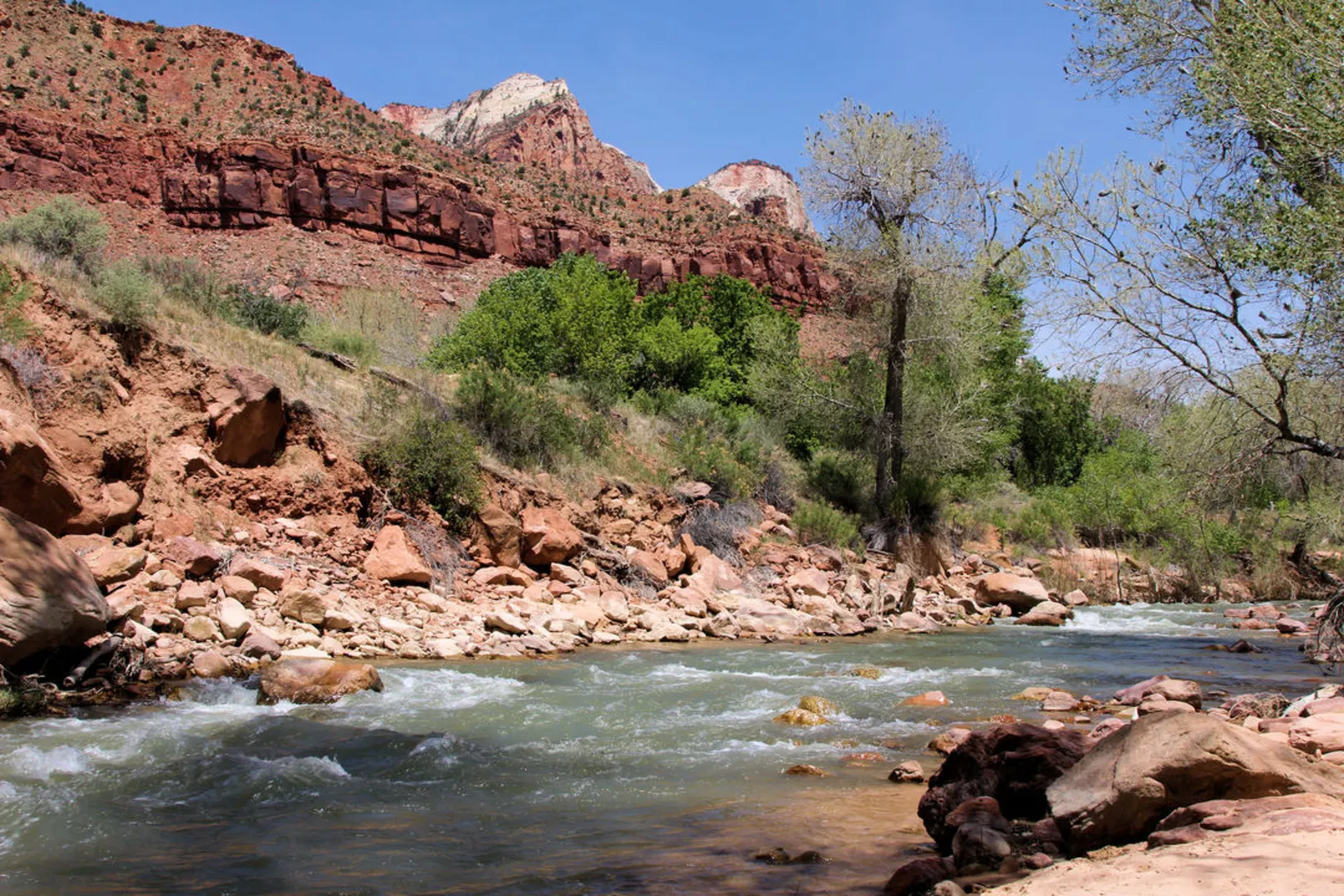 An image depicting the trail Pa’rus Trail and its surrounding area.