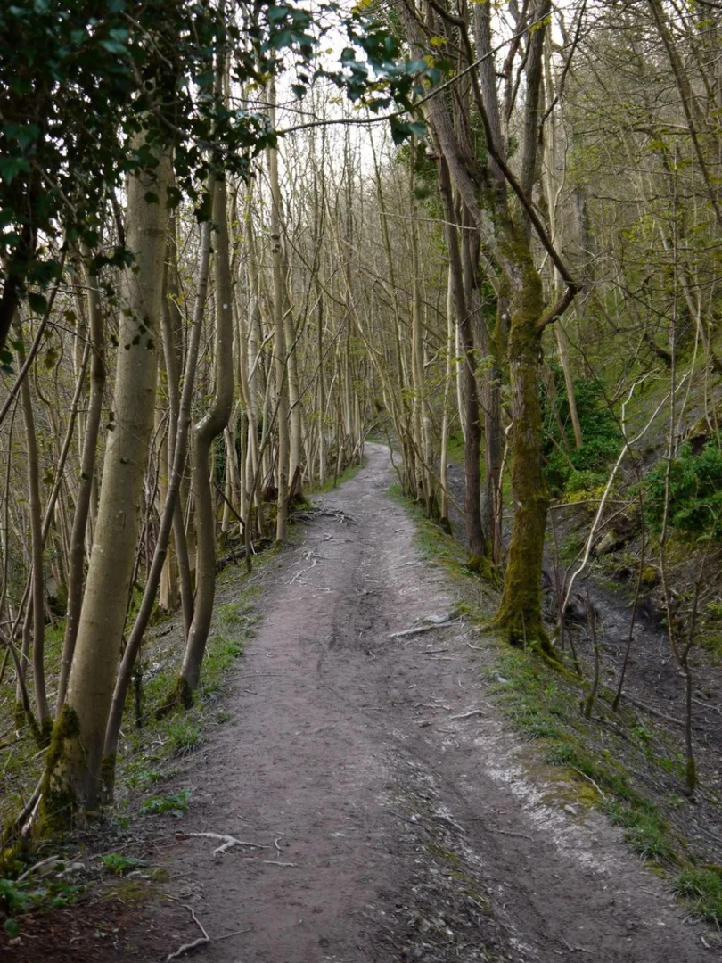 An image depicting the trail Yha Truleigh Hill Walk and its surrounding area.