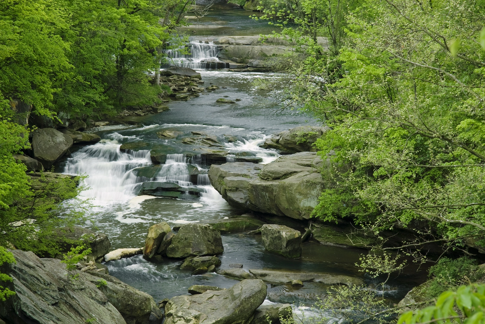 An image depicting the trail Berea Falls via Bridle Trail and its surrounding area.