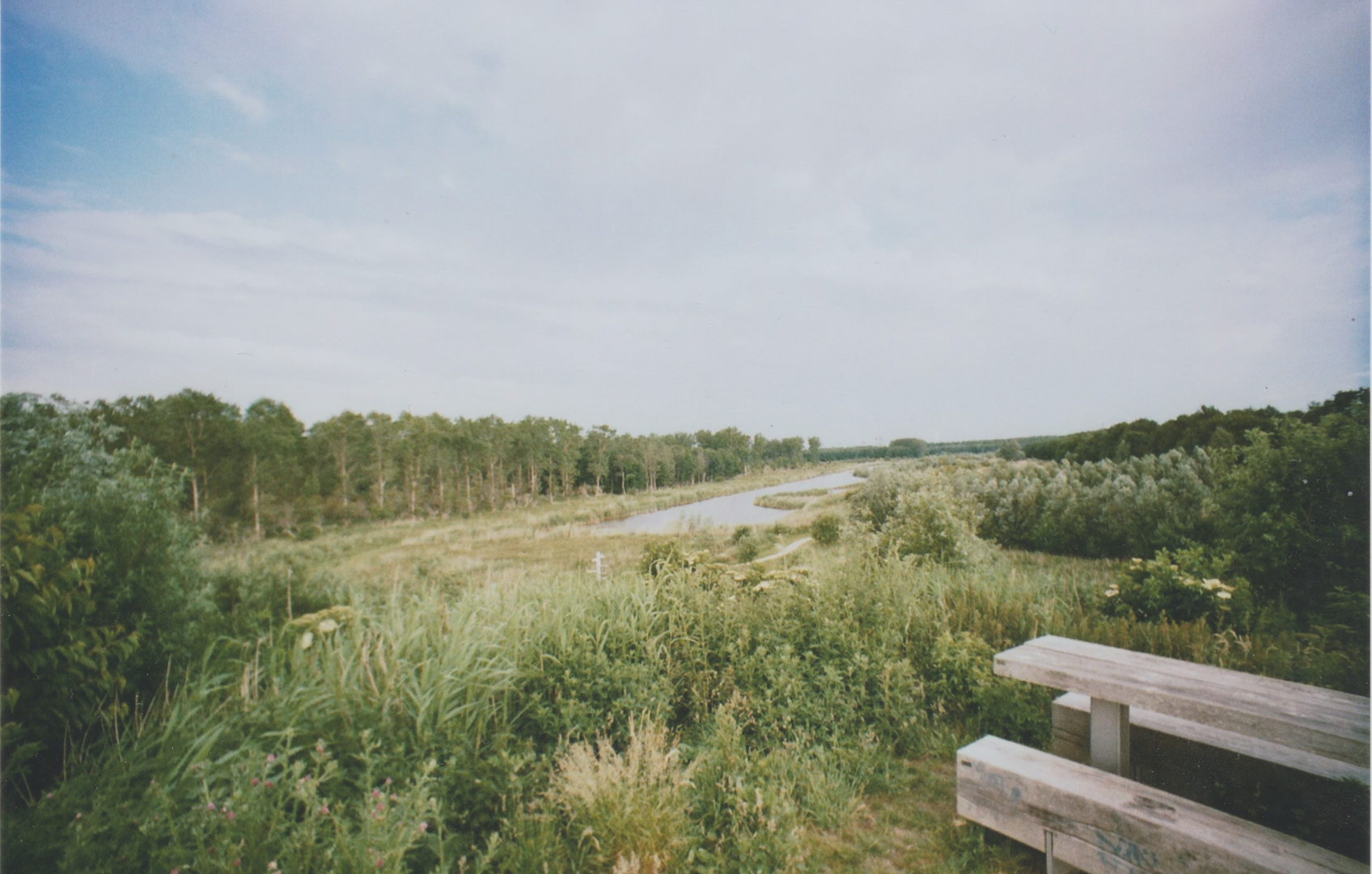 An image depicting the trail Kotterbos and Vaartplas Loop and its surrounding area.