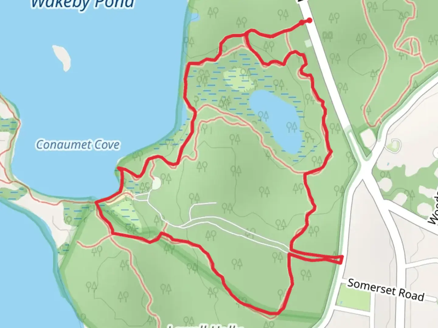 An image depicting the trail Wakeby Pond East and Lily Pond Loop Trail and its surrounding area.