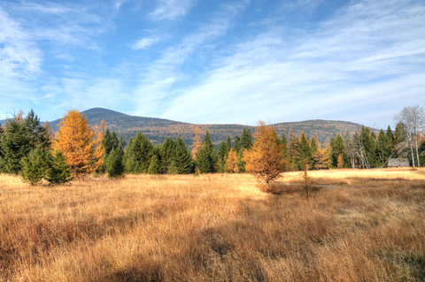 Wapaloosie Trail