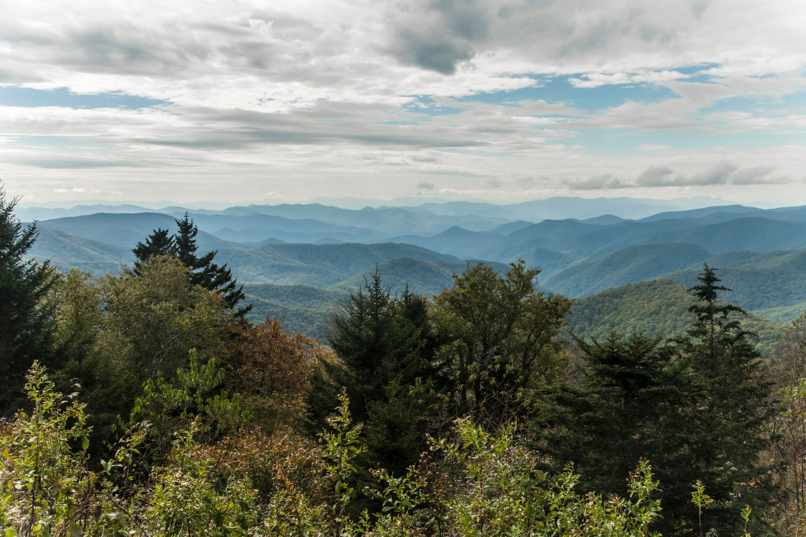 An image depicting the trail Bear Pen Gap Trail and its surrounding area.