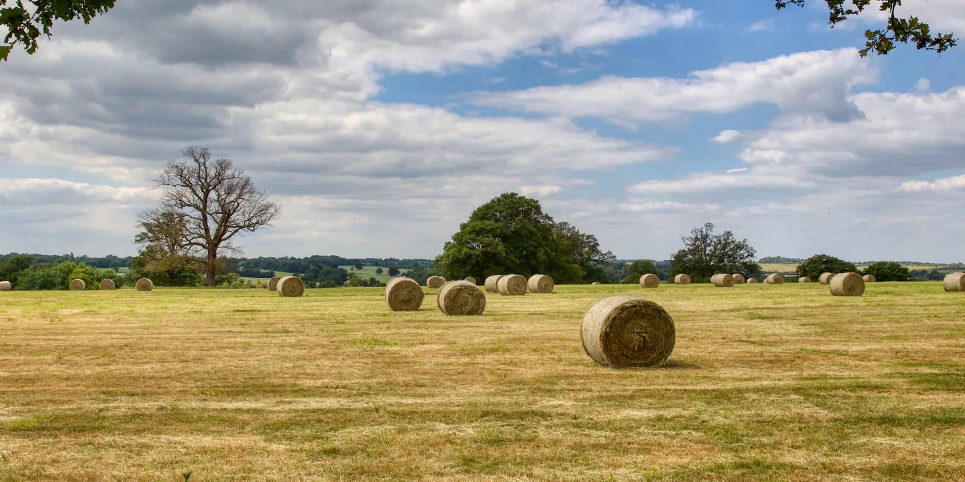 An image depicting the trail Epping to Chipping Ongar Walk and its surrounding area.