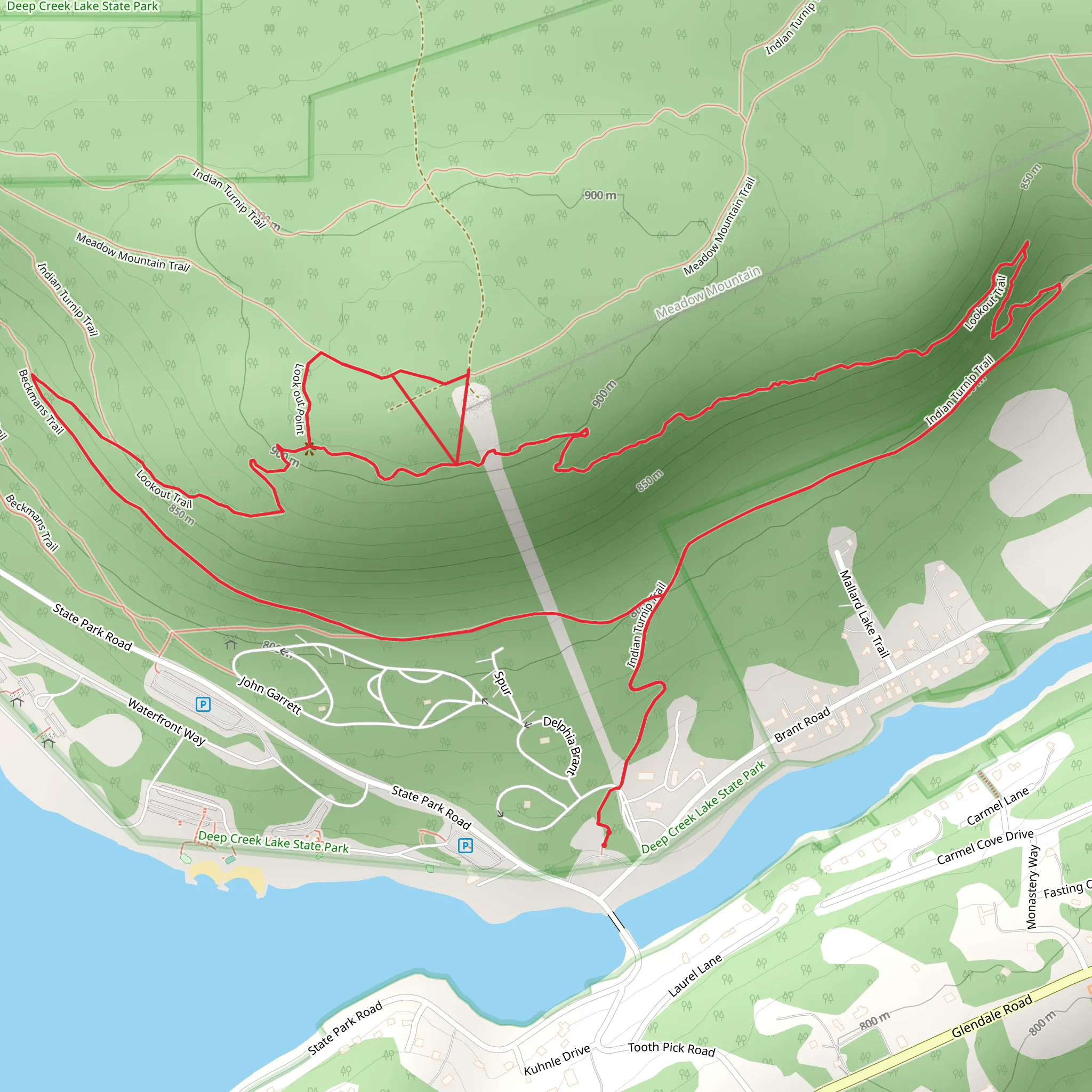Indian Turnip Trail and Lookout Loop Trail mobile static map