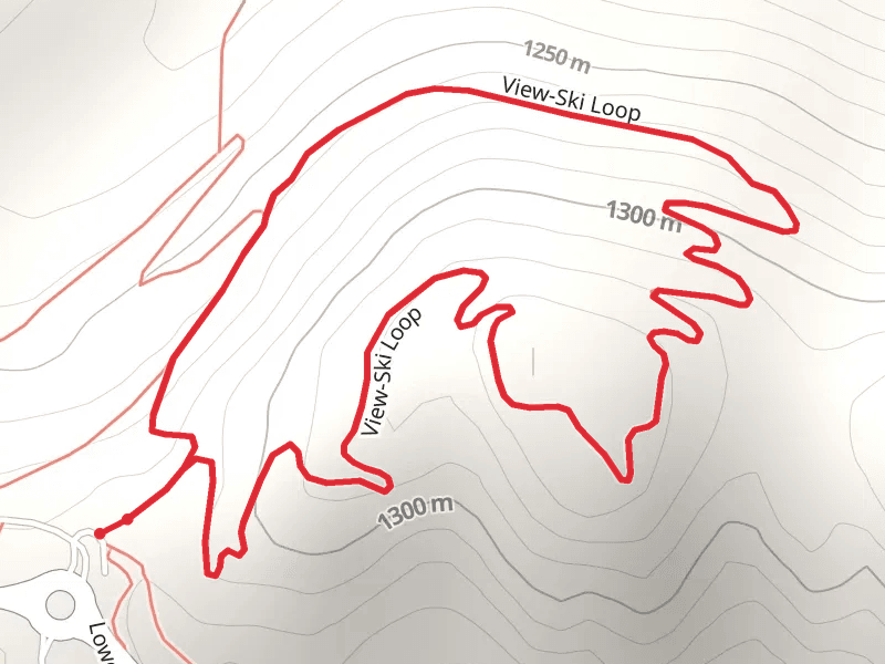 Viewski Loop