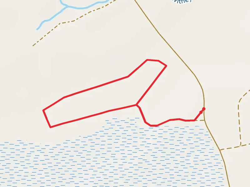 I'on Swamp Interpretive Trail