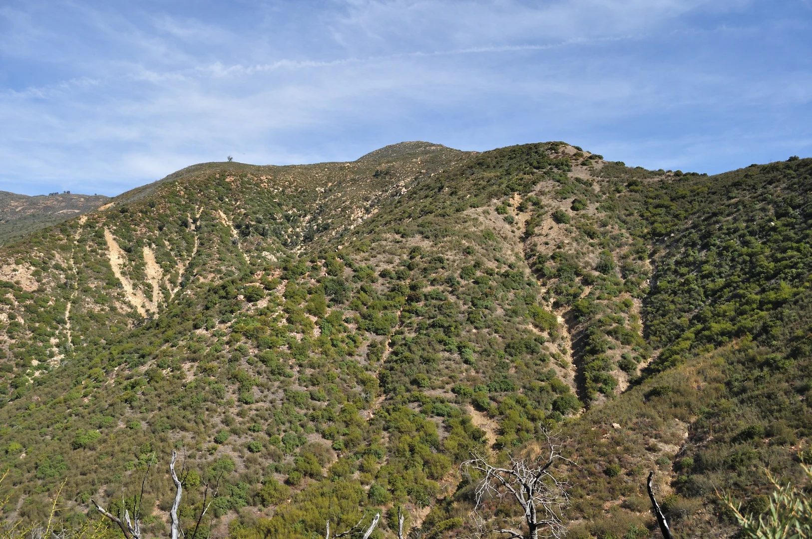 An image depicting the trail Montecito Peak and East Fork Cold Spring Loop Trail and its surrounding area.