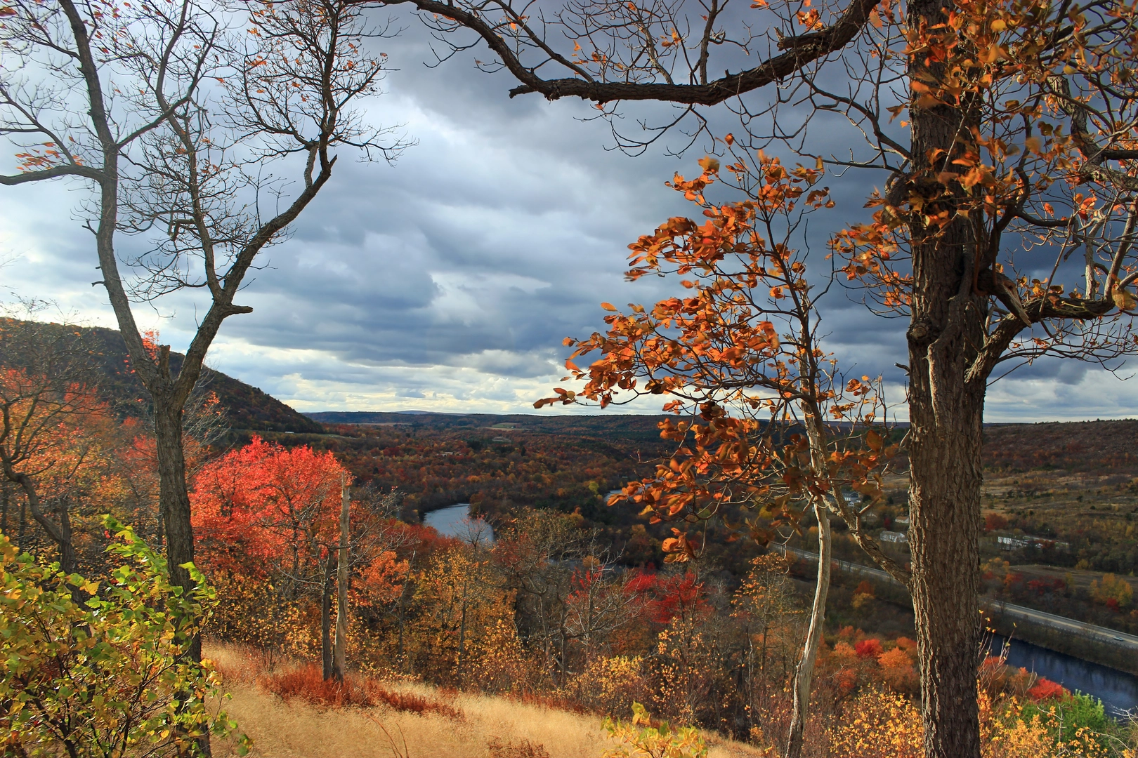 An image depicting the trail Lehigh River from Paint Mill Road and its surrounding area.