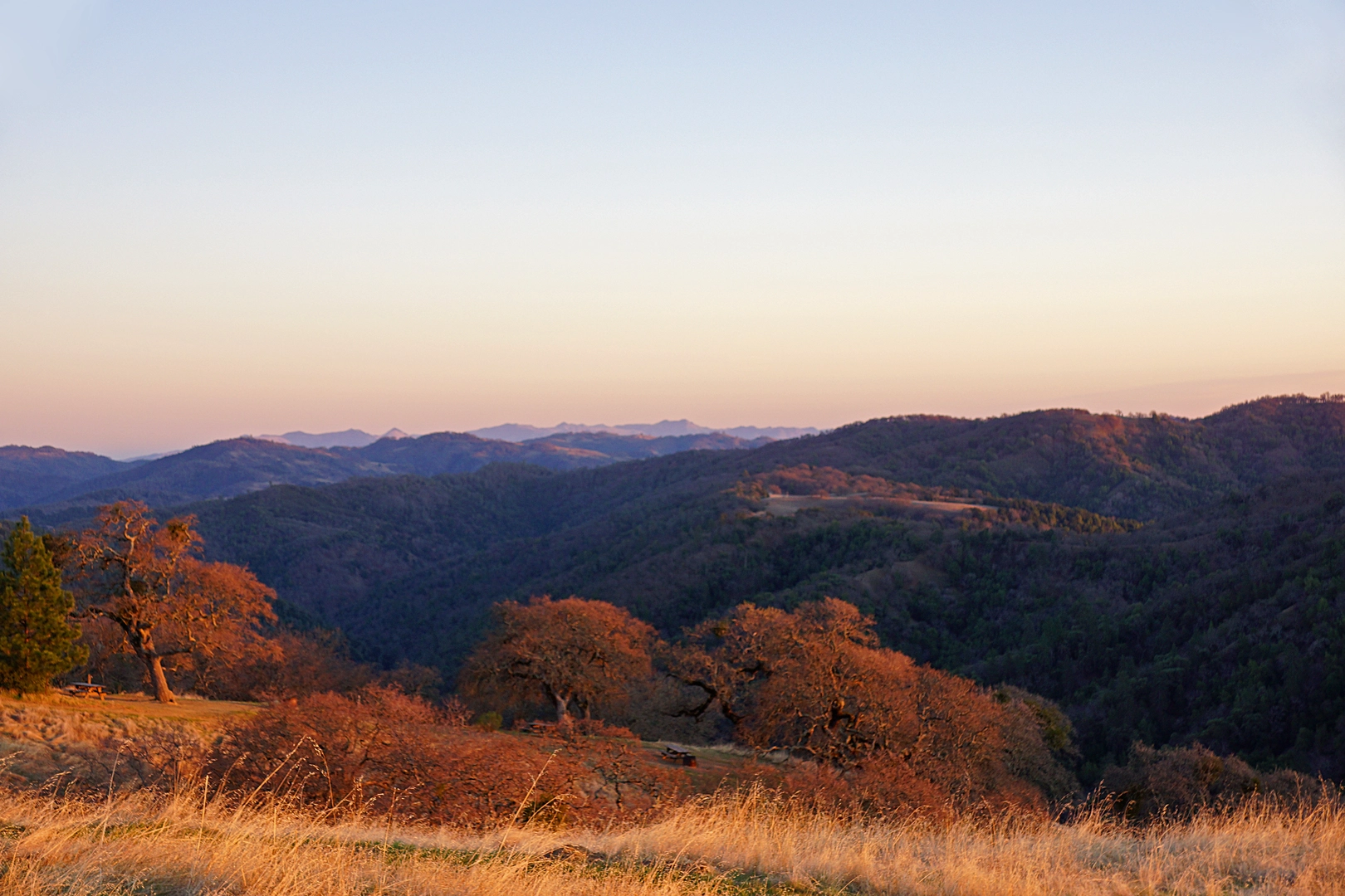 An image depicting the trail Willson Peak Loop from Hunting Hollow and its surrounding area.