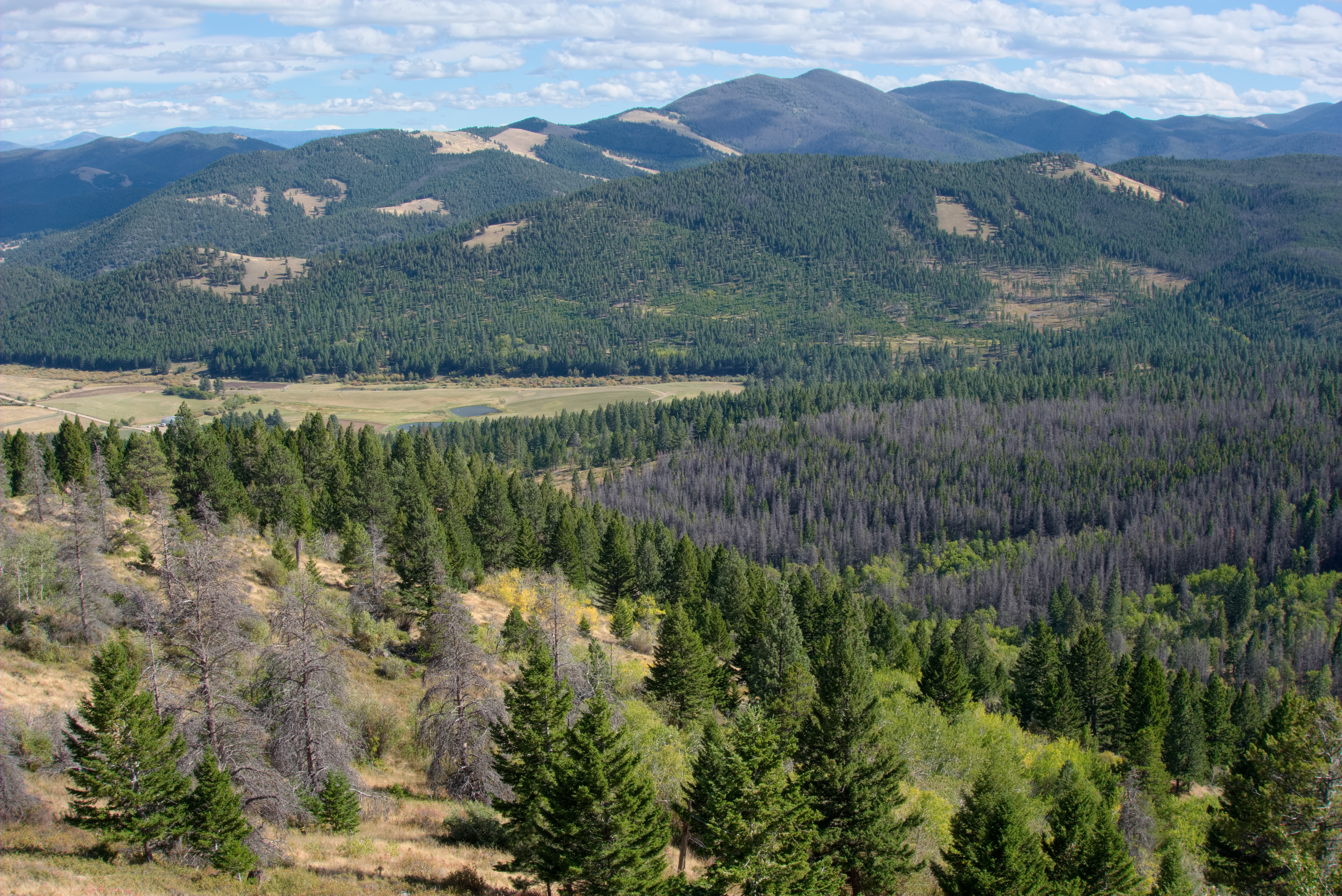 An image depicting the trail Beaverhead-Deerlodge National Forest and its surrounding area.