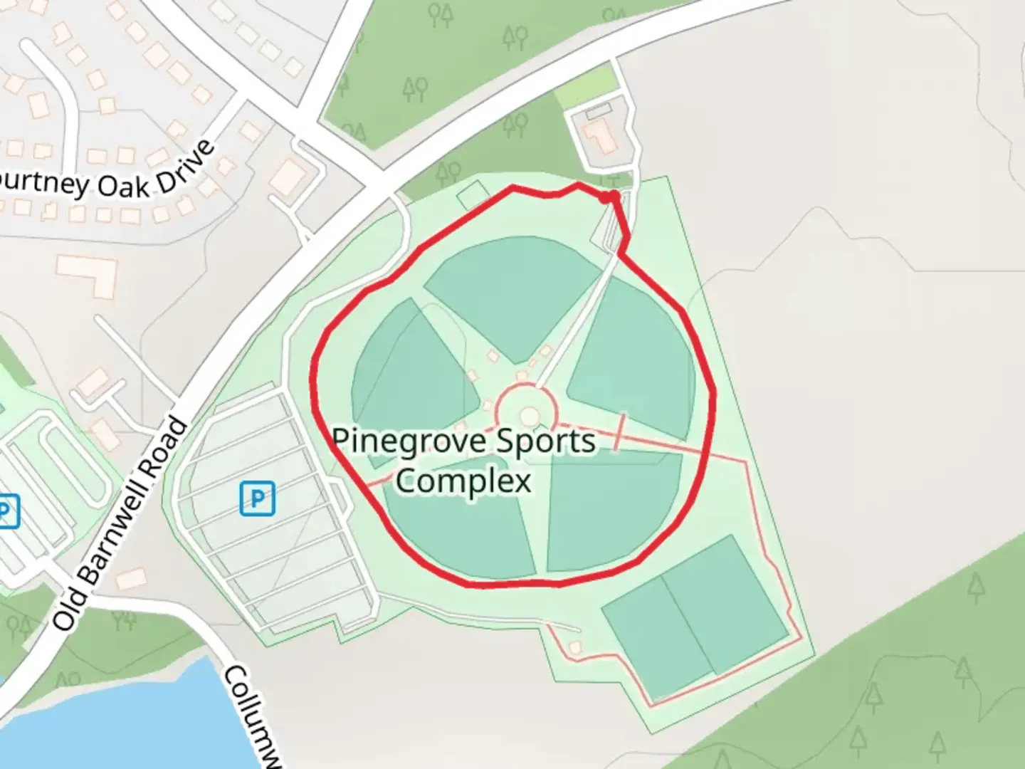 An image depicting the trail Pinegrove Sports Complex Loop and its surrounding area.