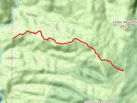 County Road 221 Longwater Out and Back
