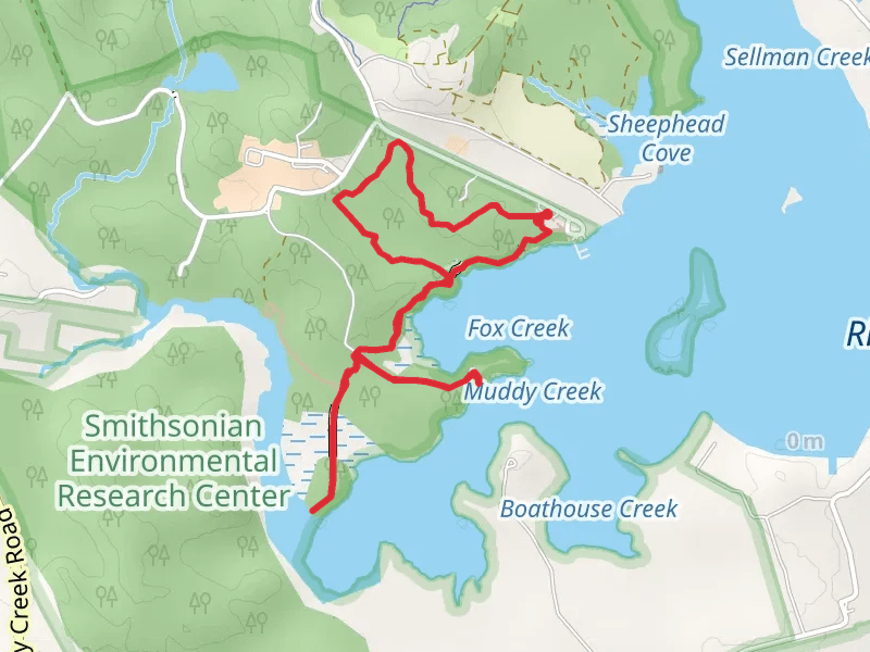 Hog Island Marsh and Fox Marsh Loop