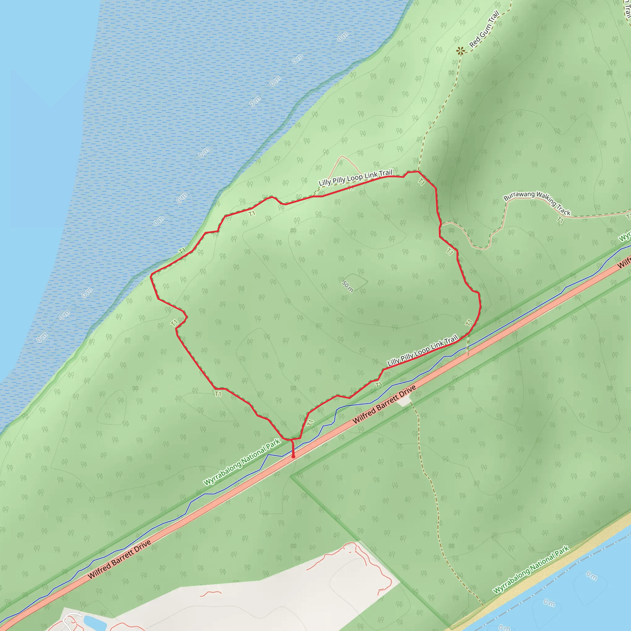 Lillypilly Loop Trail mobile static map