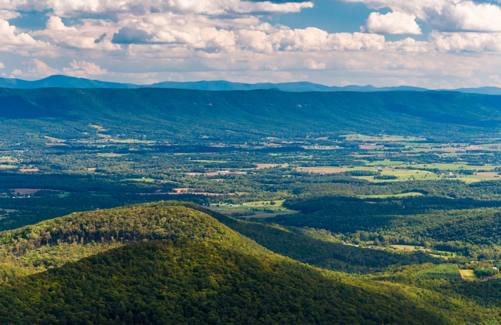 An image depicting the trail Mill Mountain Trail and its surrounding area.