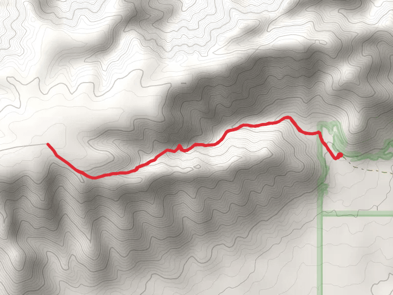 Longview Spring via Yucca Canyon Trail
