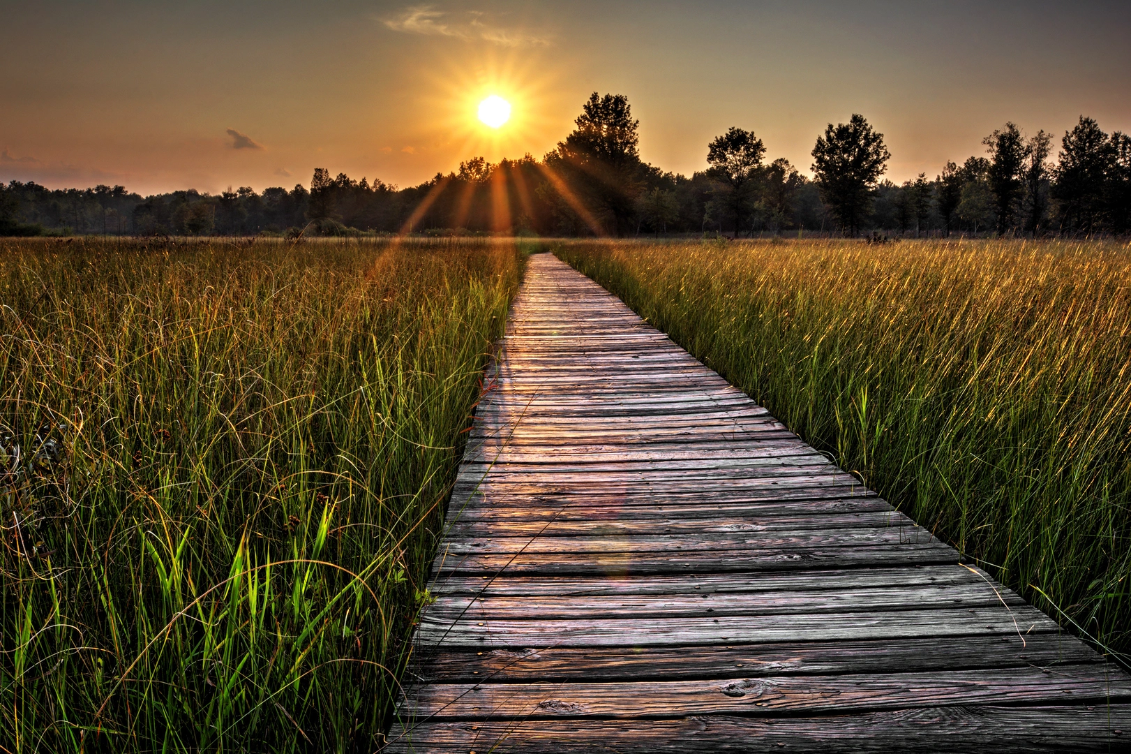 An image depicting the trail Prairie Grass Trail and its surrounding area.