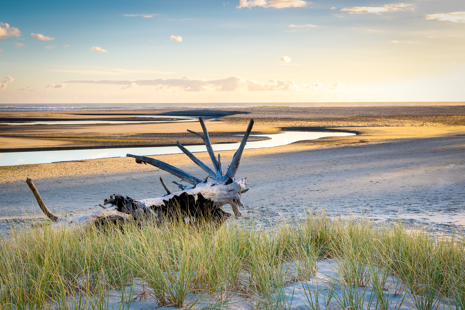 An image depicting the trail Pakiri Beach Track and its surrounding area.