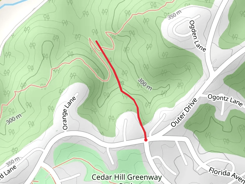 Georgia Trail