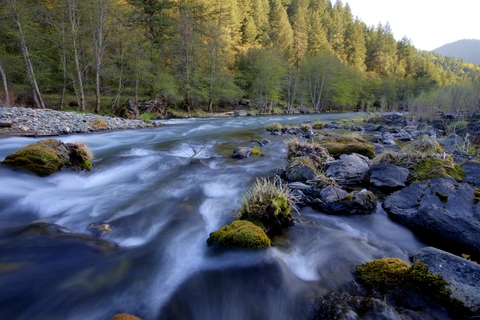 Trinity River - North Fork Trail