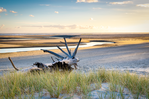Pakiri Beach Track