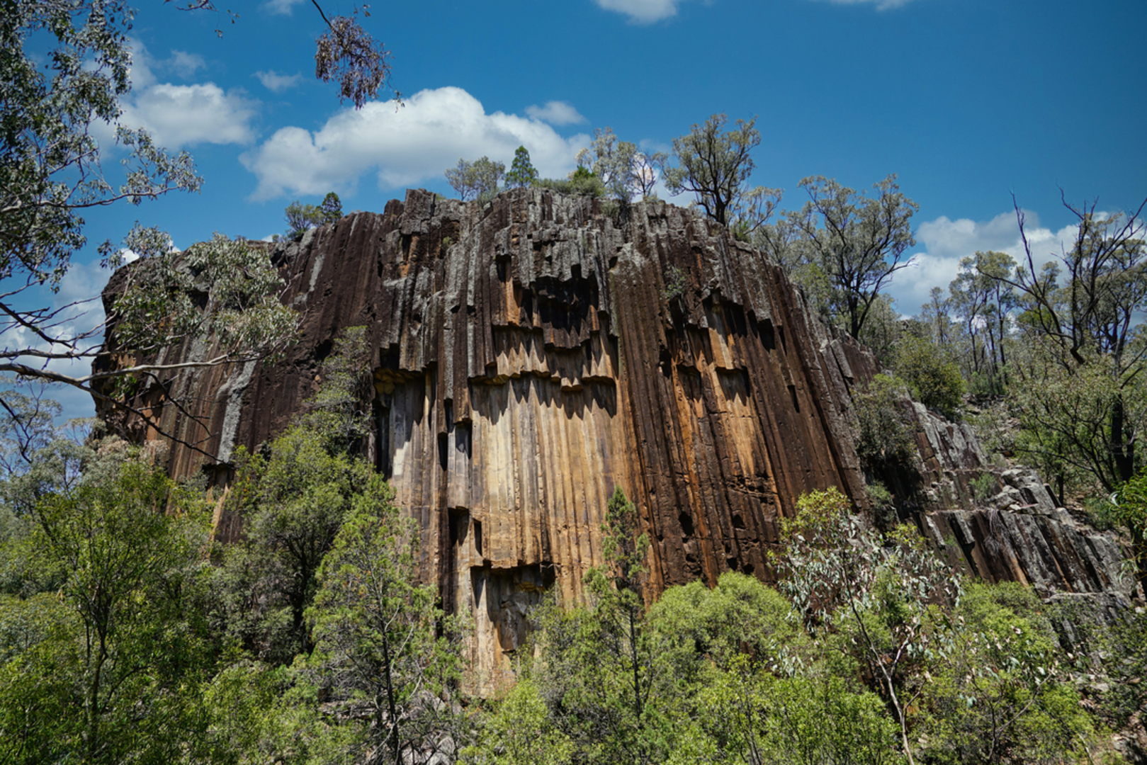 An image depicting the trail Sawn Rocks Track and its surrounding area.