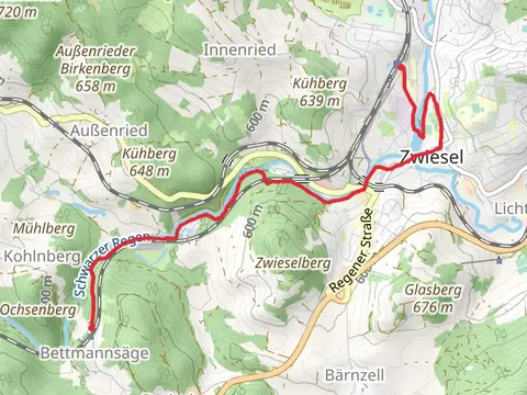 Bettmannsäge to Zwiesel Walk