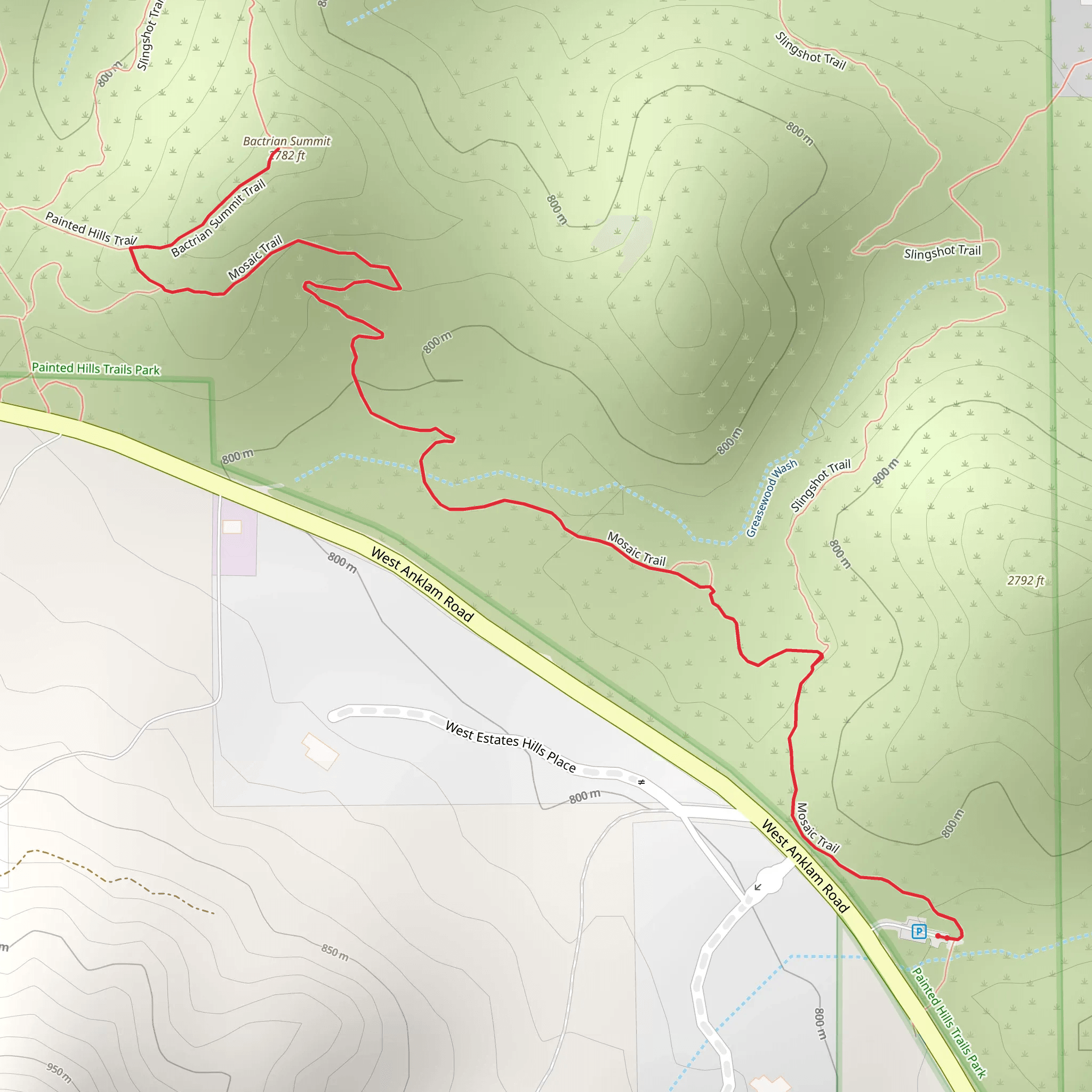 Bactrian Summit via Mosaic Trail mobile static map