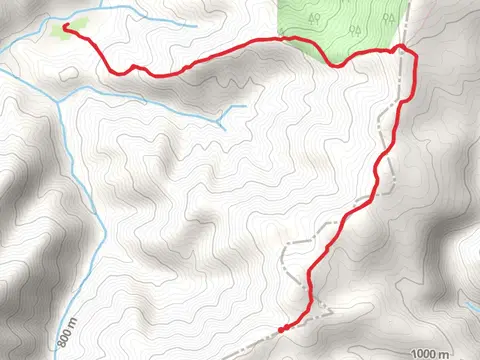 Franz Meadows Trail