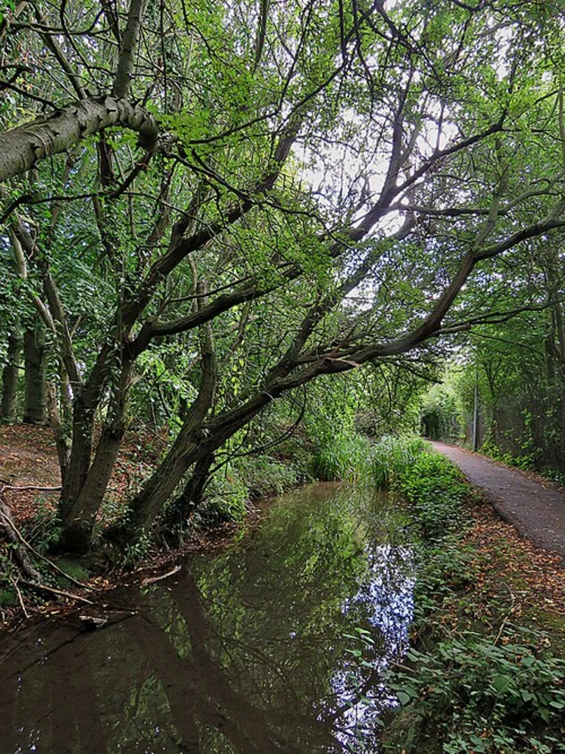 An image depicting the trail Cherry Hinton Brook and Cherry Hinton Hall Loop and its surrounding area.