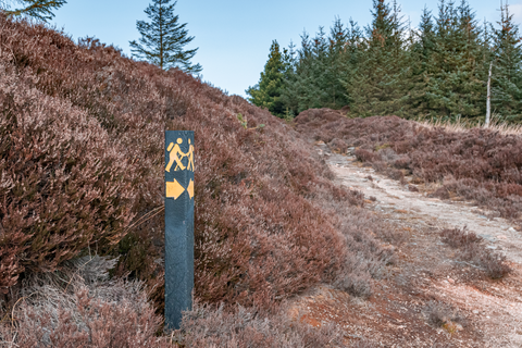 Prince William's Seat and Knockree