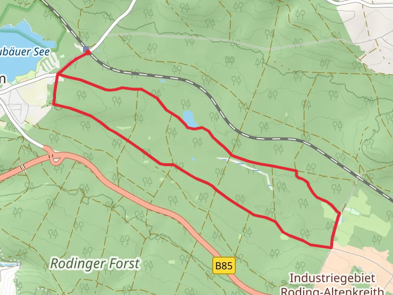 Rodinger Forst Loop