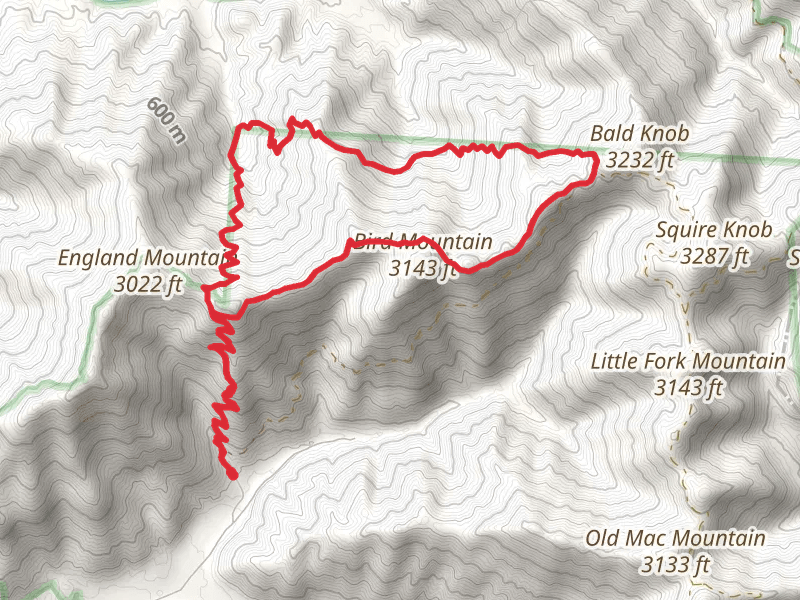 Bird Mountain and Phillips Creek via North Bird Mountain Trail