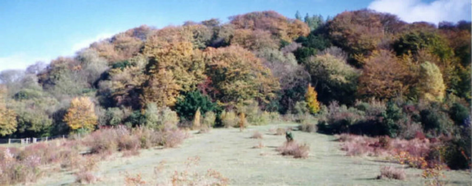 An image depicting the trail Bacombe Hill Nature Reserve and Pulpit Hill Nature Reserve Loop and its surrounding area.