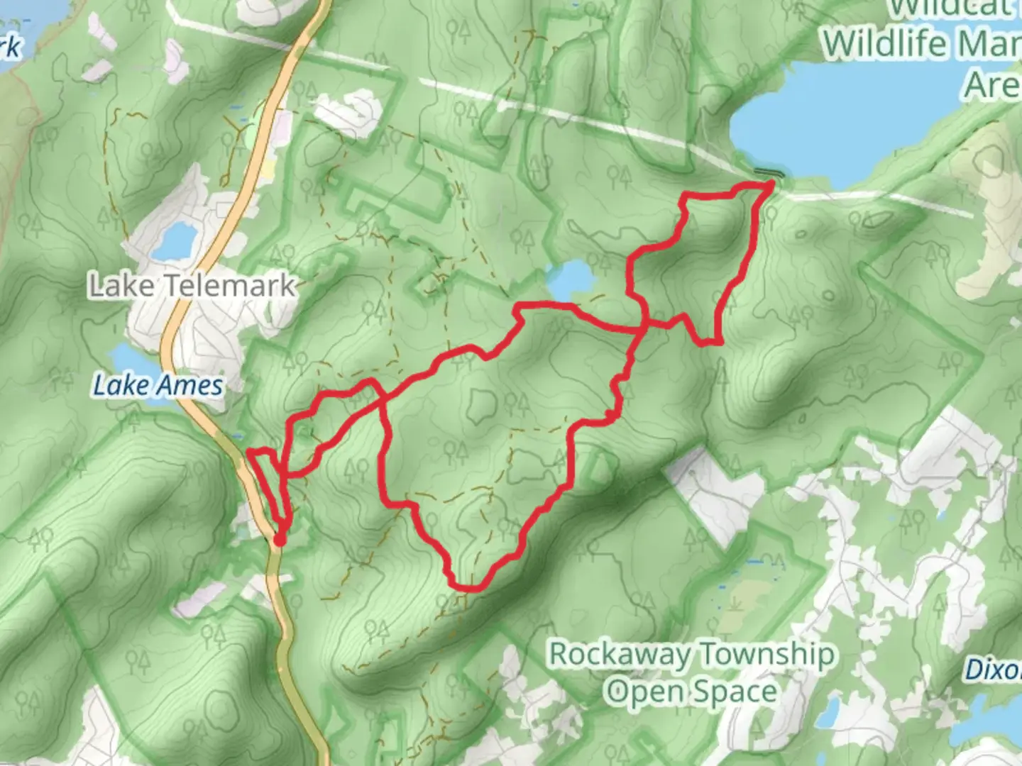 An image depicting the trail Four Birds Trail and Righter Mine Trail Loop and its surrounding area.