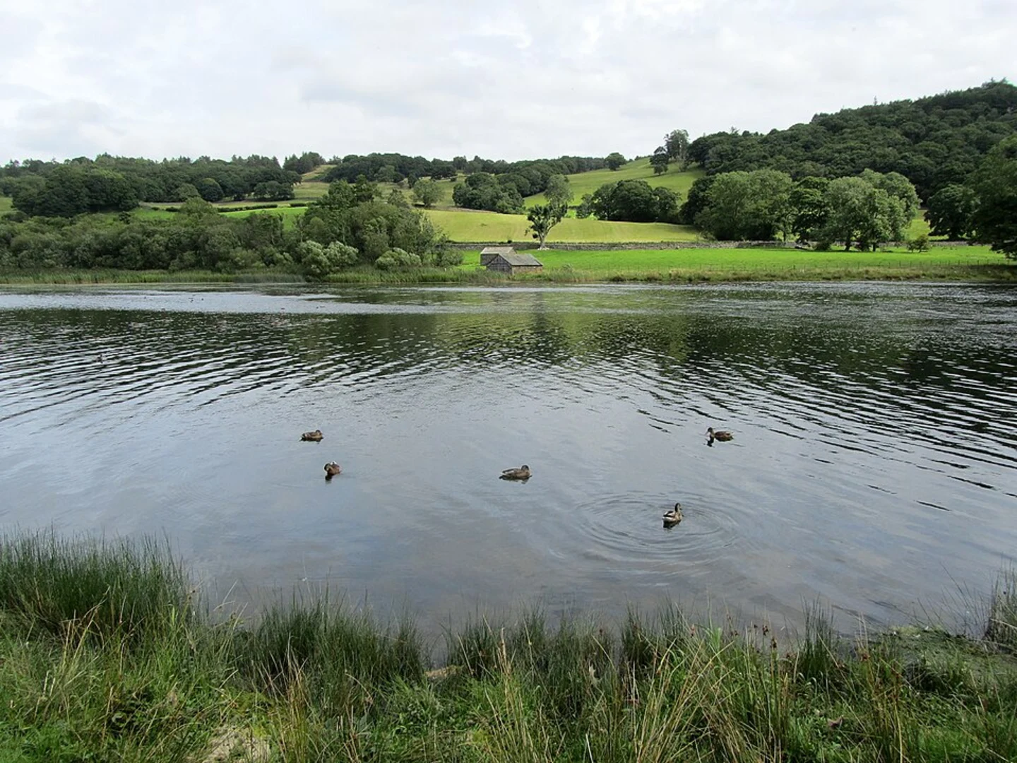 An image depicting the trail Esthwaite Water and Bass Howe Loop and its surrounding area.