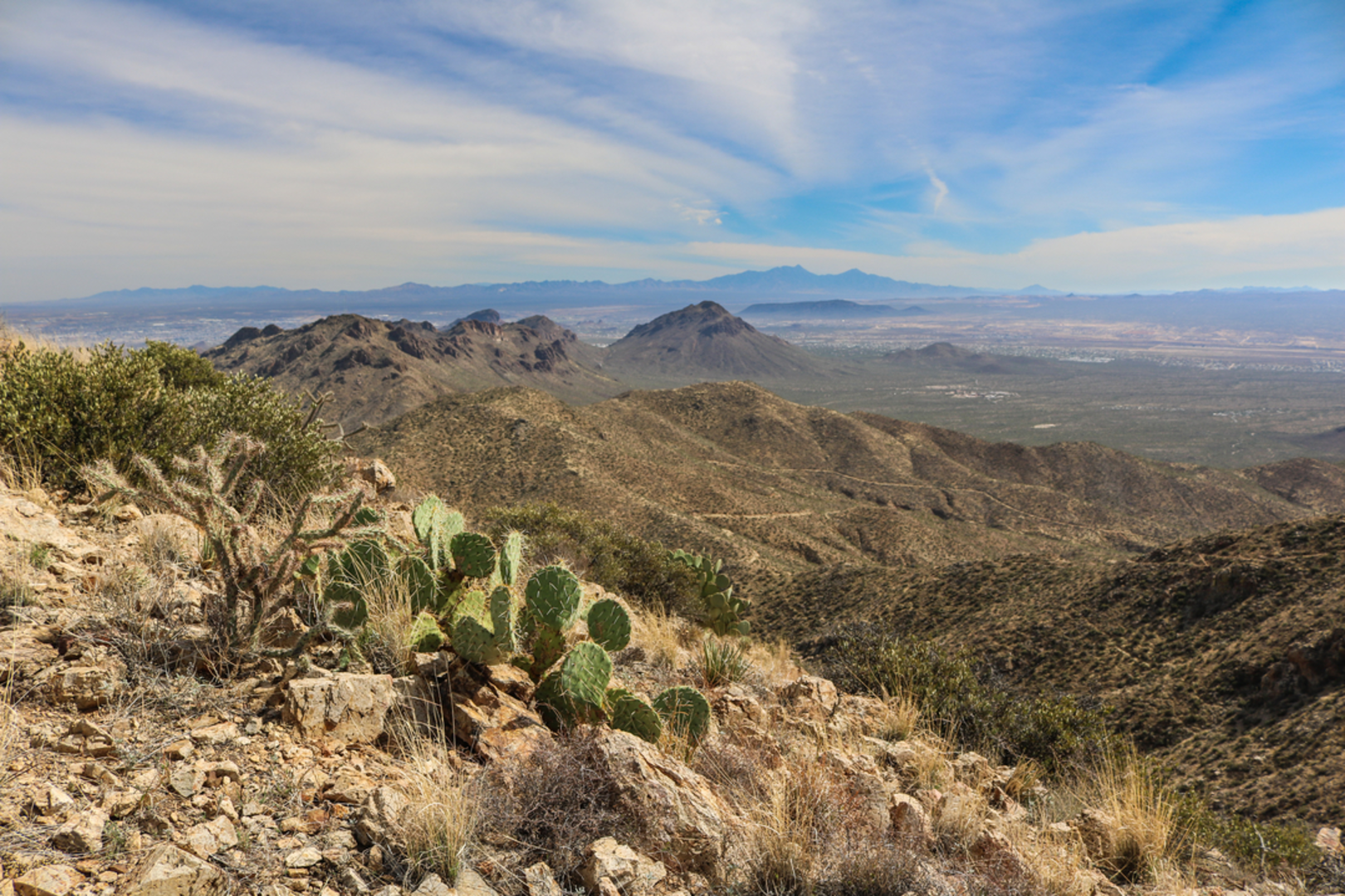 An image depicting the trail Rincon Creek Trail and its surrounding area.